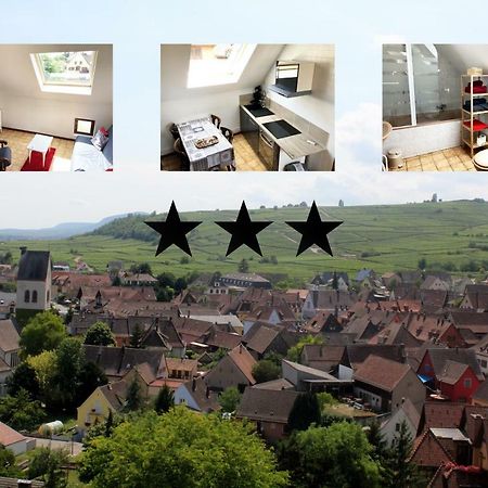 Gite Des 5 Cigognes Rouge Mittelwihr Exterior foto
