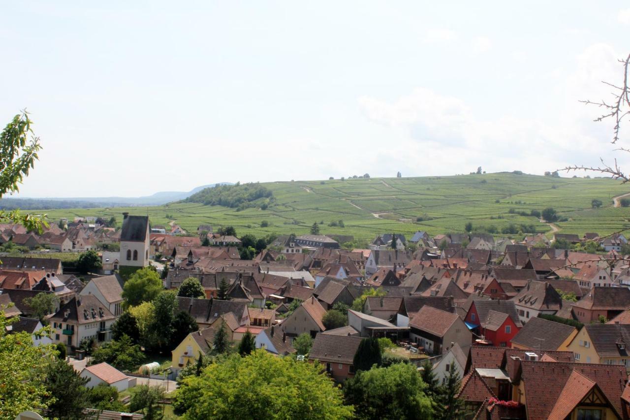 Gite Des 5 Cigognes Rouge Mittelwihr Exterior foto